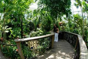 FL Museum of Natural History/Butterfly Rainforest - Gainesville, FL ...